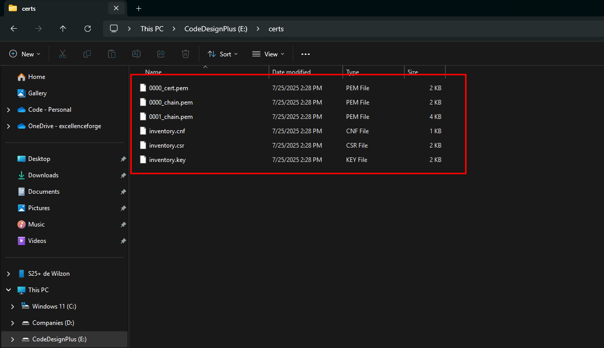 Archivos de certificado en el explorador de Windows