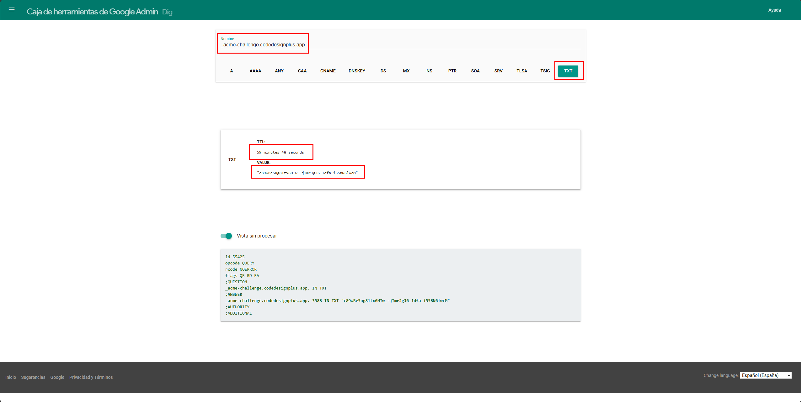 Verificando el registro TXT con Google Dig