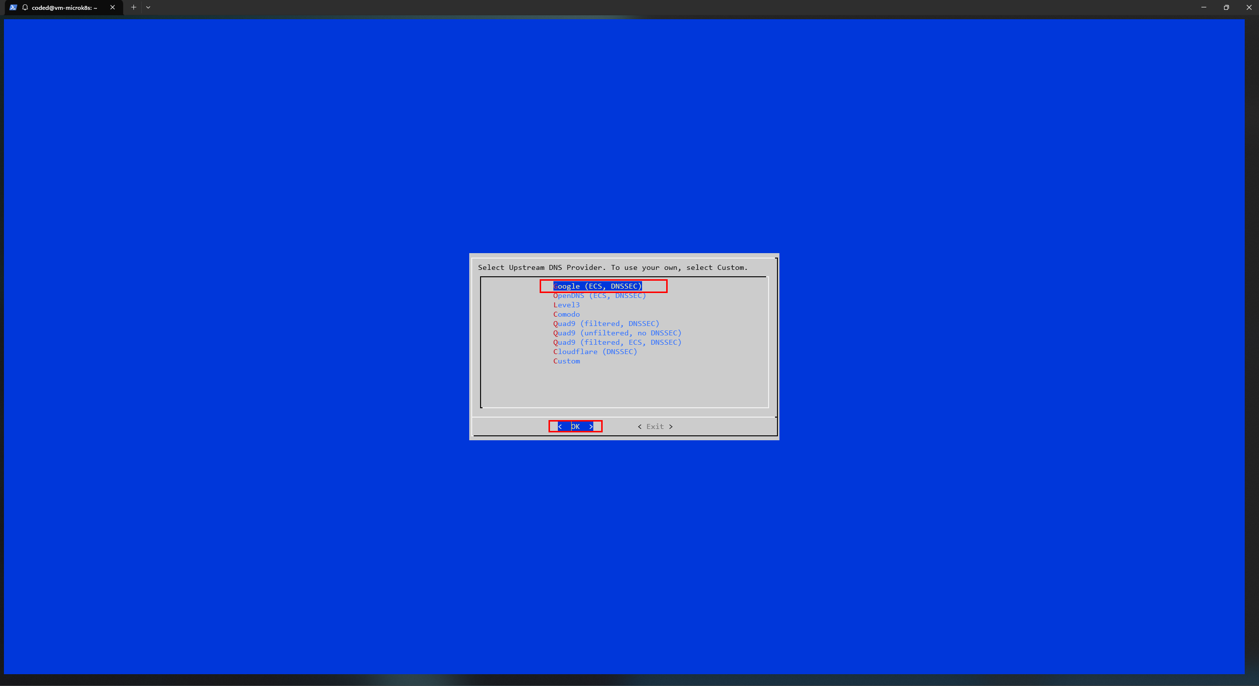 Seleccionando el proveedor de DNS upstream