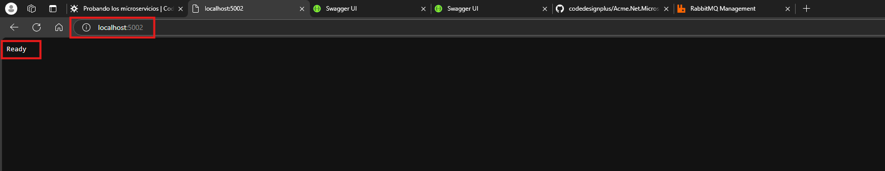 Running Microservice